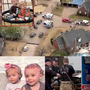 Les jumeaux qui sont venus au monde ensemble — et l’ont quitté de la même manière.