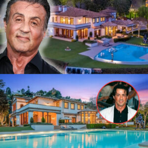 L’Empire de l’Étalon Italien : Dans le Luxe à Couper le Souffle de Sylvester Stallone en 2025