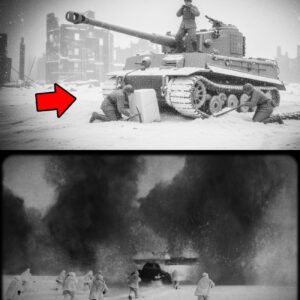 À 30 km de Moscou : 700 000 morts à −45 °C – le cauchemar blanc de la Wehrmacht.